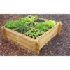 Moestuinbak - Vierkant 140 × 140 × 40 Cm -Zaden Voor Tuin 1596024602 2 600