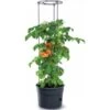 Tomaten Kweekpot Met Groeisteun - 12 Liter -Zaden Voor Tuin 1649410567 1 600