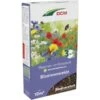 DCM Bloemen- En Graszaad - 10 M² -Zaden Voor Tuin 1675762326 1 600