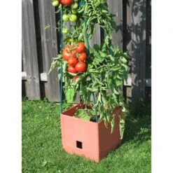 Plantentoren Maxitom Met Waterreservoir - Terracotta -Zaden Voor Tuin 1677510667 3 600