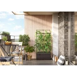 Kweekbak City Jungle Basic Met Klimframe 10 Kweekbak City Jungle Basic Met Klimframe -Zaden Voor Tuin 1677572003 1 600