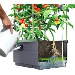 Kweekbak City Jungle Basic Met Klimframe 11 Kweekbak City Jungle Basic Met Klimframe -Zaden Voor Tuin 1677572003 2 600