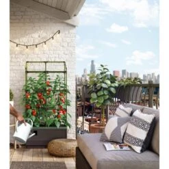 Kweekbak City Jungle Basic Met Klimframe 12 Kweekbak City Jungle Basic Met Klimframe -Zaden Voor Tuin 1677572004 4 600