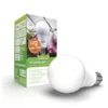 Ledlamp Voor Groeilamp Florabooster 500 - 6,5 W 1 Ledlamp Voor Groeilamp Florabooster 500 - 6,5 W -Zaden Voor Tuin 1677580433 1 600
