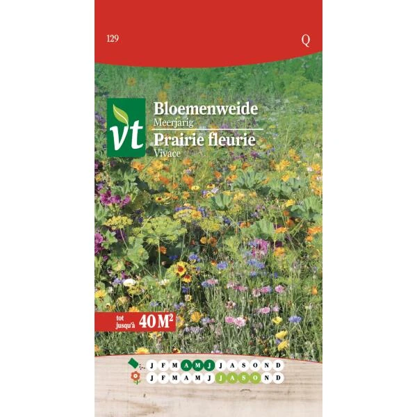 Bloemenweide Meerjarig - Tot 40 M² 3 Bloemenweide Meerjarig - Tot 40 M²