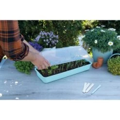 Sogo Vensterbank Kweekkas Maxigrow - 20 X 54 X 21 Cm -Zaden Voor Tuin 1742306705 1 600