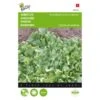 Andijvie Breedblad Volhart Winter - Cichorium Endivia 2 Andijvie Breedblad Volhart Winter - Cichorium Endivia -Zaden Voor Tuin andijvie breedblad volhart winter cichorium endivia 1646840314 69 600