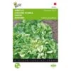 Andijvie Nummer Vijf - Cichorium Endivia -Zaden Voor Tuin andijvie nummer vijf cichorium endivia 1646840314 71 600