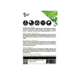 Zaden Voor Tuin -Zaden Voor Tuin andijvie nummer vijf cichorium endivia 1646840314 72 600