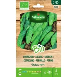 Augurk Hokus HF1 BIO