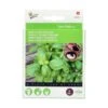 Basilicum Genovese - 4 Zaadpads -Zaden Voor Tuin basilicum genovese 4 zaadpads 1646840345 710 600