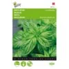 Basilicum Grove - Ocimum Basilicum -Zaden Voor Tuin basilicum grove ocimum basilicum 1646840312 13 600