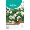 Begonia White Comet - Begonia Semperflorens -Zaden Voor Tuin begonia white comet begonia semperflorens 1646840359 1026 600