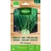 Bieslook BIO -Zaden Voor Tuin bieslook bio 1646839541 197 600