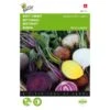 Bieten Mixed Colors 2 Bieten Mixed Colors -Zaden Voor Tuin bieten mixed colors 1646840382 1506 600