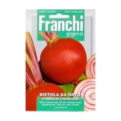 Bietola Tonda Di Chioggia - Ronde Biet