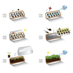 Binnenkas BoQube Plus Romberg - 41 × 17 × 23 Cm -Zaden Voor Tuin binnenkas boqube 41 x 17 x 23 cm 1656509792 5 600