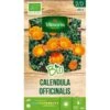 Calendula BIO - Goudsbloem -Zaden Voor Tuin calendula bio 1646400356 1 600