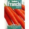 Carota Nantes 2 - Wortelen Nantes -Zaden Voor Tuin carota nantes 2 wortelen nantes 1646840372 1320 600