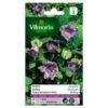 Cobea Klimmende - Cobea Scandens -Zaden Voor Tuin cobea klimmende cobea scandens 1646839547 242 600