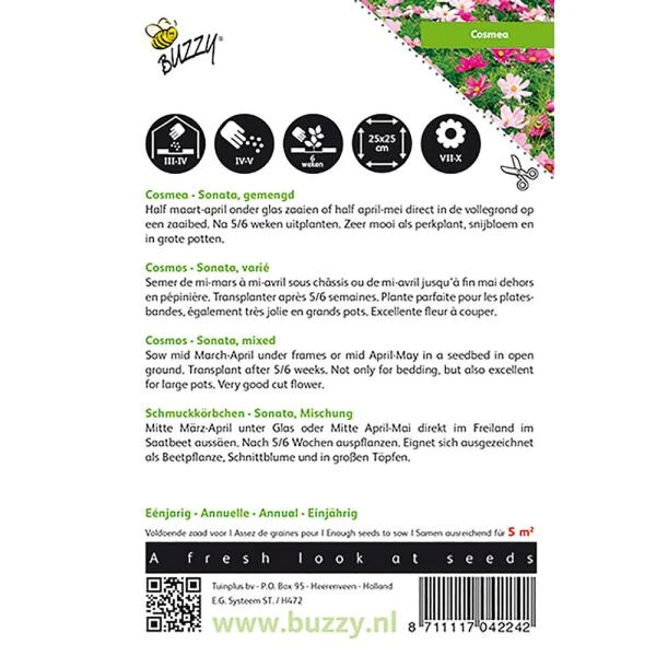Cosmos Sonate - Cosmos Bipinnatus 4 Cosmos Sonate - Cosmos Bipinnatus - Afbeelding 2