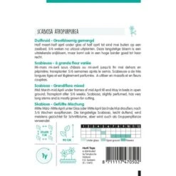 Duifkruid - Scabiosa Atropurpurea -Zaden Voor Tuin duifkruid scabiosa atropurpurea 1646840364 1147 600