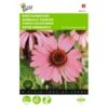 Echinacea Purpurea - Rode Zonnehoed -Zaden Voor Tuin echinacea purpurea rode zonnehoed 1646840344 700 600