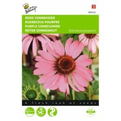 Echinacea Purpurea - Rode Zonnehoed