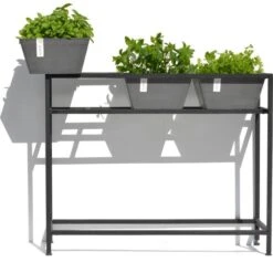 ECOPOTS Berlin Kruidentafel - Grijs 100 X 80 X 36 Cm -Zaden Voor Tuin ecopots berlin kruidentafel grijs 1600852112 2 600