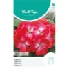 Geranium Bright Eyes - Pelargonium Zonale -Zaden Voor Tuin geranium bright eyes pelargonium zonale 1646840364 1136 600
