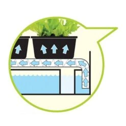 Groeilicht Met Kweekset - Wit 8 Groeilicht Met Kweekset - Wit -Zaden Voor Tuin groeilicht met kweekset wit 1484067835 2 600