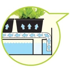 Groeilicht Met Kweekset - Zwart 7 Groeilicht Met Kweekset - Zwart -Zaden Voor Tuin groeilicht met kweekset zwart 1484063021 3 600