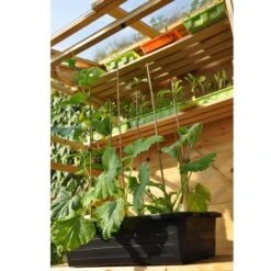 Kweekbak 40 Liter -Zaden Voor Tuin grote kweekbak 40 liter 1484056513 1 600