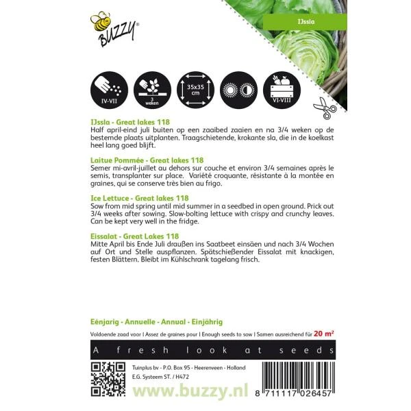 IJssla Great Lakes 118 - Lactuca Sativa 4 IJssla Great Lakes 118 - Lactuca Sativa - Afbeelding 2