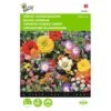 Japans Bloemengazon -Zaden Voor Tuin japans bloemengazon 1646840333 477 600