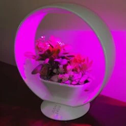 Mini Tuin Jardin Secret Met Verlichting En Bluetooth - Rond 7 Mini Tuin Jardin Secret Met Verlichting En Bluetooth - Rond -Zaden Voor Tuin jardin secret met bluetooth rond 1602065218 3 600