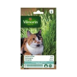 Kattengras - Gerst 80 G