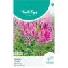 Kattensnor Rose Queen - Cleome Spinosa HT -Zaden Voor Tuin kattensnor rose queen cleome spinosa ht 1646840358 1012 600