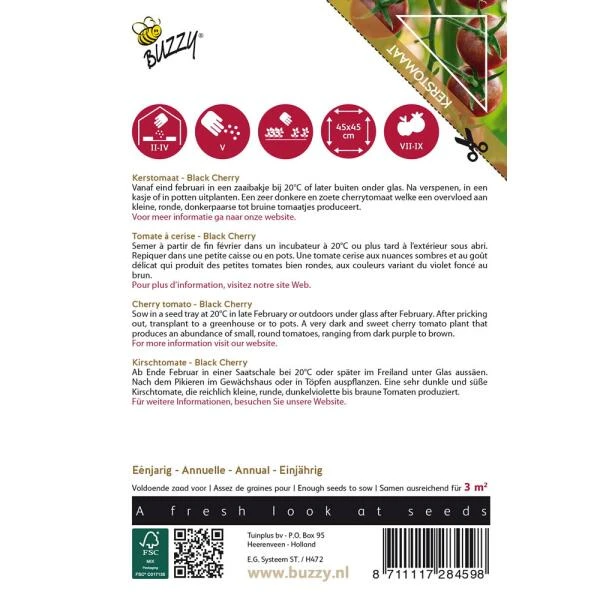 Kerstomaat Black Cherry 4 Kerstomaat Black Cherry - Afbeelding 2