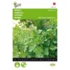 Kervel Fijne Krul - Anthriscus Cereflolium -Zaden Voor Tuin kervel fijne krul anthriscus cereflolium 1646840311 5 600