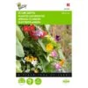Klimplantenmengsel (diverse Soorten) 2 Klimplantenmengsel (diverse Soorten) -Zaden Voor Tuin klimplantenmengsel diverse soorten 1646840333 479 600
