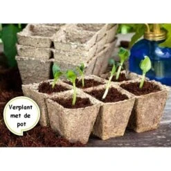 Vezelpotjes Vierkant Biologisch Afbreekbaar - 6 × 6 Cm - Set Van 24 Stuks -Zaden Voor Tuin kokos potjes vierkant 6 cm 1519297688 1 600