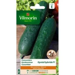 Komkommer Gynial HF1