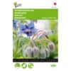 Komkommerkruid - Borago Officinalis -Zaden Voor Tuin komkommerkruid borago officinalis 1646840313 35 600