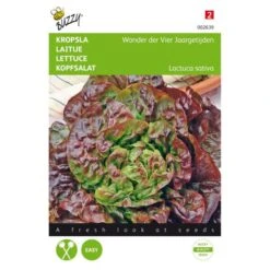 Kropsla Wonder Der Vier Jaargetijden