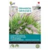 Lampenpoetsersgras - Pennisetum Alopecuroides -Zaden Voor Tuin lampenpoetsersgras pennisetum alopecuroides 1646840391 1654 600