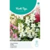 Leeuwenbekje Tom Thumb - Antirrhinum Majus Pumilum -Zaden Voor Tuin leeuwenbekje tom thumb antirrhinum majus pumilum 1646840325 317 600