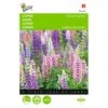 Lupinus Polyphyllus Russells Hybrids Mix -Zaden Voor Tuin lupinus polyphyllus russells hybrids mix 1646840336 551 600