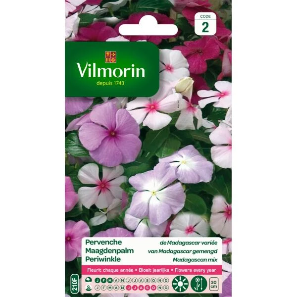 Maagdenpalm Van Madagascar - Vinca Rosea 2 Maagdenpalm Van Madagascar - Vinca Rosea