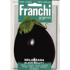 Melanzana Black Beauty - Aubergine